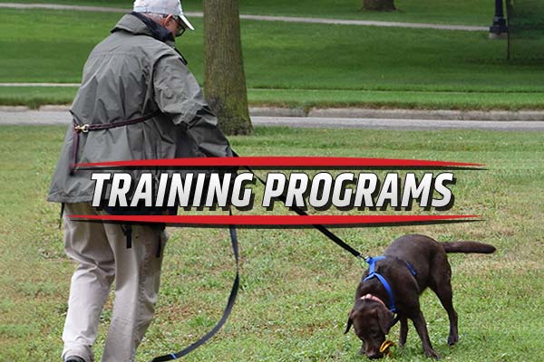 Equip K9 LLC Training Programs